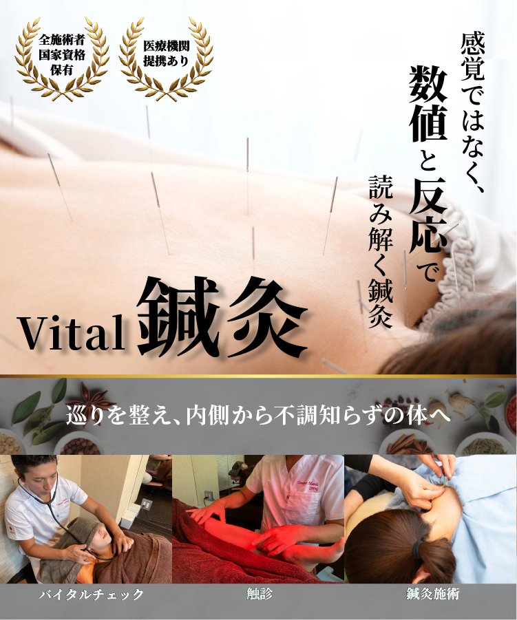 Vital鍼灸